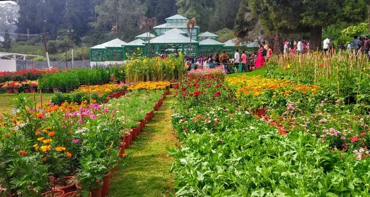 ooty