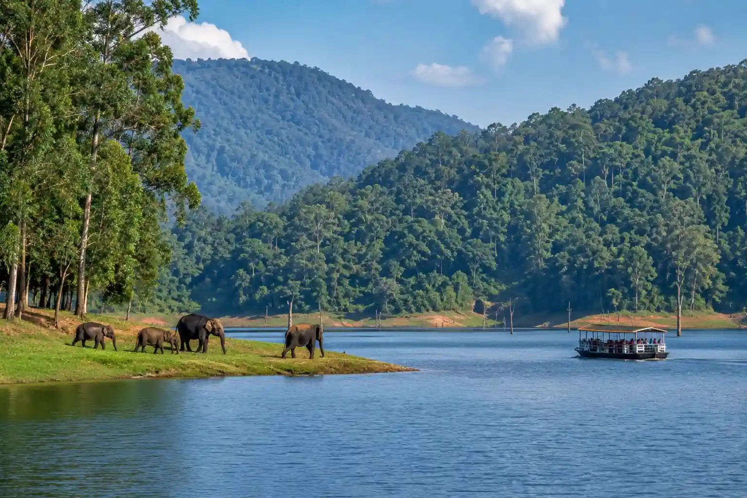 Thekkady