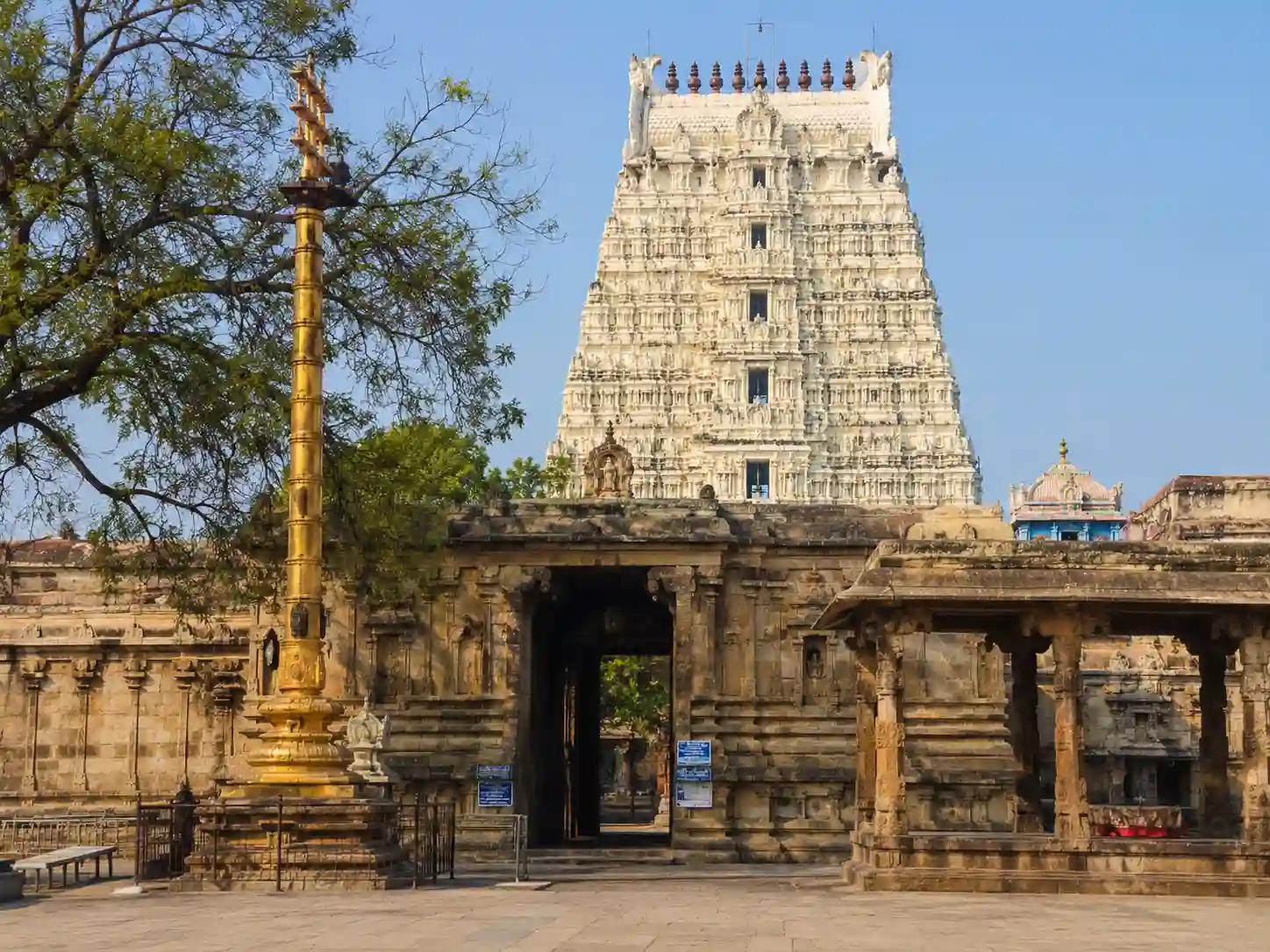 Ekambareswarar Temple Kanchipuram