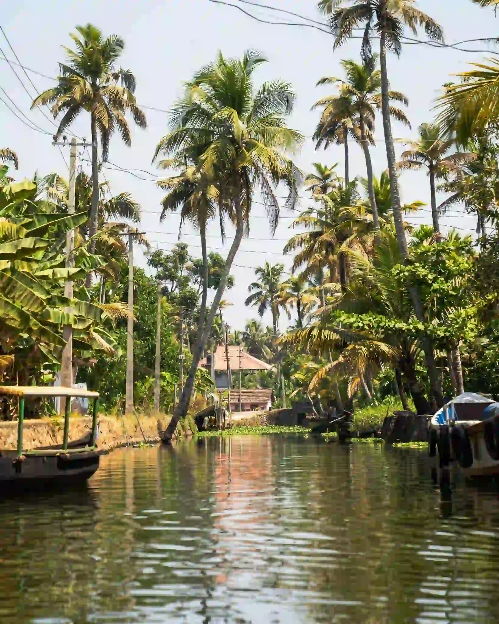 Kerala Backwaters Alleppey