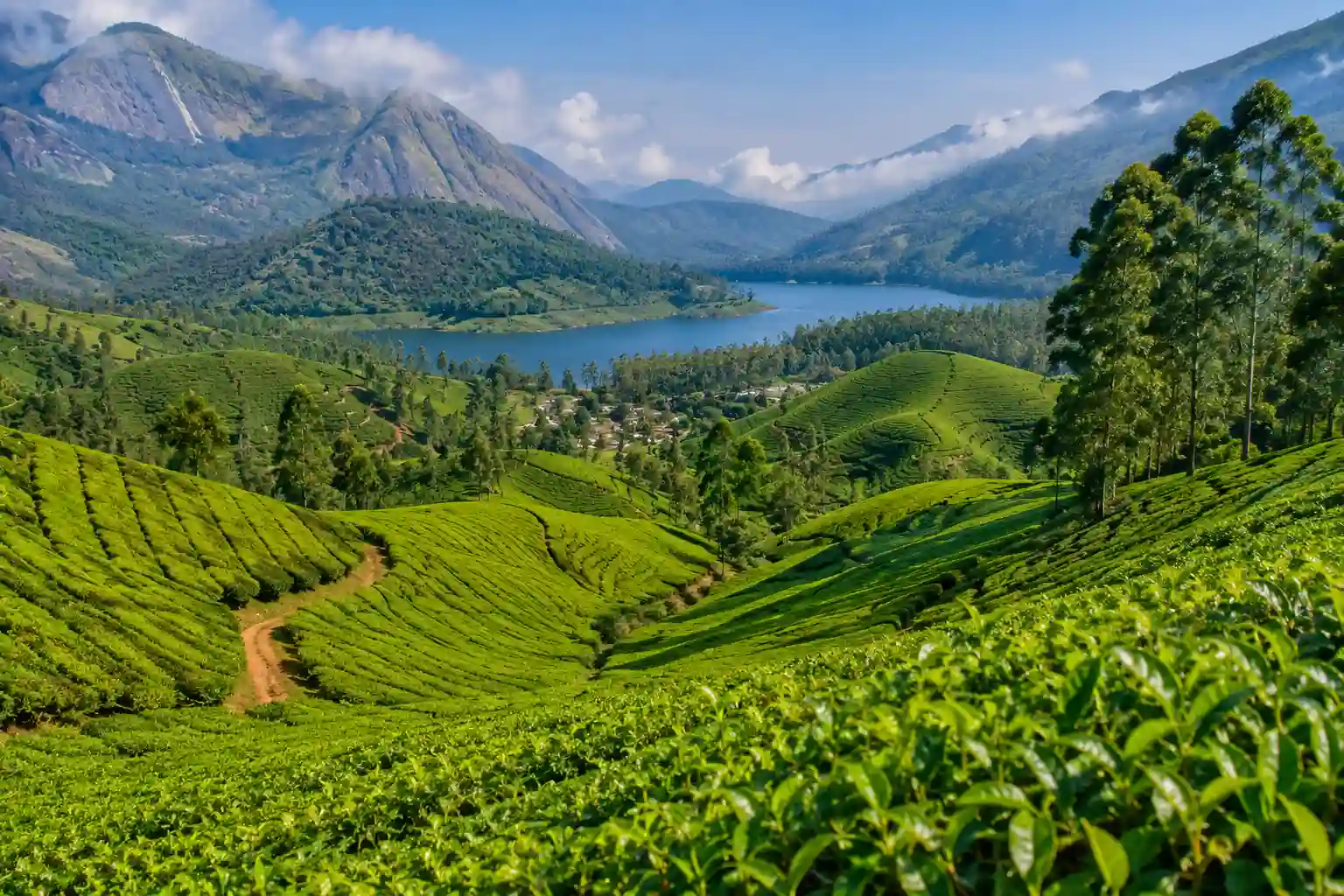 Munnar Tea Gardens Kerala
